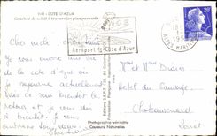 POSTAL MODERNA dimensión de la puesta del sol azul a través de los pinos de paraguas