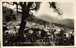 POSTAL MODERNA Aceituna-árboles grasos de la visión