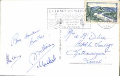 POSTAL MODERNA Aceituna-árboles grasos de la visión