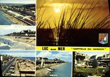 CPM Luc Sur Mer Capitale Du Varech