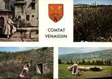 CPM Comtat Venaissin Plant de Lavande Provencale devant des Boris Bergere et son troupeau Folklore