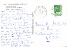 CPM Comtat Venaissin Plant de Lavande Provencale devant des Boris Bergere et son troupeau Folklore