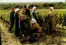 MODERN CARD the Tourangeau Country Groups Folk per Hour Of the Grape harvest Folklore