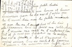 VINTAGE POSTCARD Birthday Flowers Clover