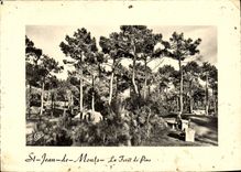CPM St Jean De Monts La Foret De Pins