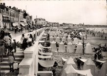 CPM Les Sables D'Olonne La Plage Et Le Remblai Vers Les Pins