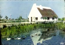 CPM Camargue Avec Les Gardians Cabane De Gardians Au Milieu Des Marais