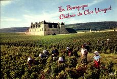 CPM En Bourgogne Chateau Du Clos Vougeot