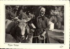 MODERN CARD Standard Corsica Corsica Corsica Ass Mule Folklore
