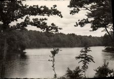 MODERN CARD Anor Pond Of Galoperie