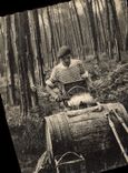 CPM En Gascogne Recolte De La Gemme resine Folklore 