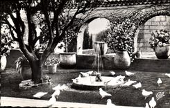 CPM Saint Paul De Vence La Colombe d'Or