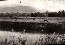 MODERN CARD the Pays Basque Edges Of the Bubble And Solid mass Of Rhune