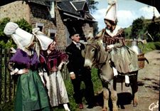 CPM La Normande Papillons D'Avranches La Porteuse De Lait d'Avranches Ane Mule