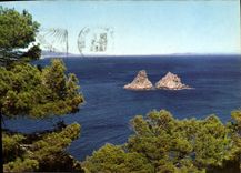 CPM Lumiere Et Beaute De La Cote d'azur La Seyne Vue Sur Les Deux Freres