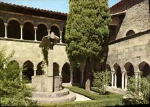 CPM Frejus Le Cloitre De La Cathedrale