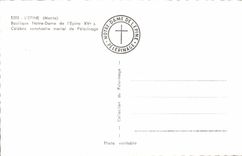 MODERN CARD the Spine Notre Dame Basilica Of the Spine