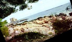 CPM Abbaye De Notre Dame De Lerins Ile Saint Honorat Cannes