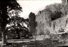 MODERN CARD Bormes Mimosas the Old Castle