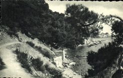 CPM Toulon Sentier Des Douaniers Les Pins Penches