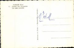 CPM Toulon Sentier Des Douaniers Les Pins Penches