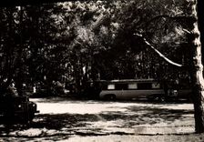 MODERN CARD Julouville Under Wood