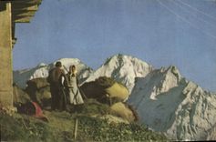 MODERN CARD Tarentaise