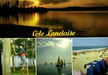 MODERN CARD Landaise Dimension Various Aspects