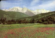 POSTAL MODERNA Mont Blanc