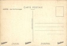 MODERN CARD Amiens Market gardens