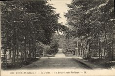 CPA Fontainebleau Le Foret La Route Louis Philippe