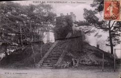 CPA Foret De Fontainebleau Tour Denecourt