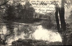 CPA Foret De Fontainebleau La Mare Aux Fees