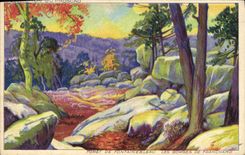 CPA Foret De Fontainebleau Les Gorges De Franchard