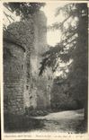 CPA Chatillon Sur Seine Ruines Du Chateau Des ducs de Bourgogne