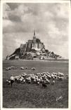 VINTAGE POSTCARD Mont Saint Michel the Shepherd and sheep