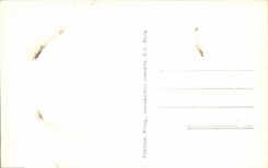 CPM Paris Notre Dame