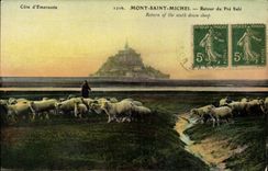 CPA Mont Saint Michel Retour Du Pre Sale Bergere et moutons