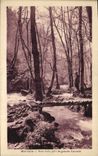 VINTAGE POSTCARD Mortain Under Wood Close the Large Cascade