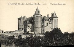 VINTAGE POSTCARD Saumur the Castle Vines