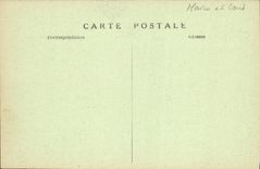 VINTAGE POSTCARD Saumur the Castle Vines