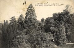 CPA Angers Arboretum de la Maulevrie au Nord