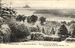 CPA Avranches Le Mont Saint Michel Baie du Mont Saint Michel Vue prise du jardins des plantes