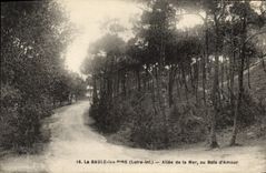 VINTAGE POSTCARD La Baule Pines Gone Of the Sea To the Wood Of love
