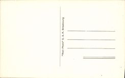 VINTAGE POSTCARD La Baule the Pines Places Palm trees