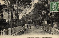 VINTAGE POSTCARD La Baule Gone Of the Birches