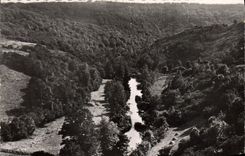 MODERN CARD Mervent the Valley Of Maple