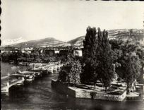 MODERN CARD Geneva Island Rousseau And Mont Blanc