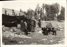 Israel photograph Bedouin Goats