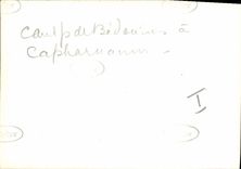 Israel photograph Bedouin Goats